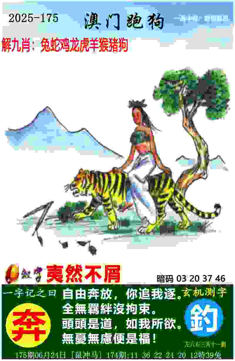 >管家婆一中一特