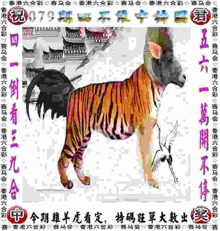 >管家婆一中一特